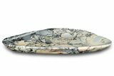 Polished Maligano Jasper Plate - Indonesia #323250-1